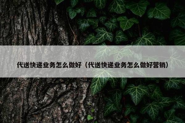 代送快递业务怎么做好（代送快递业务怎么做好营销）