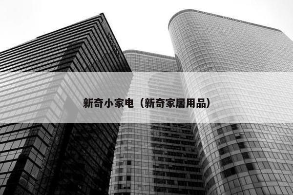 新奇小家电（新奇家居用品）