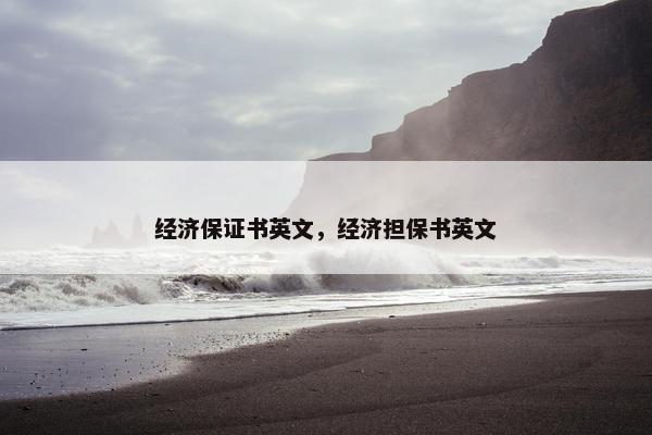 经济保证书英文，经济担保书英文
