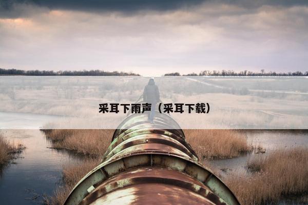 采耳下雨声（采耳下载）