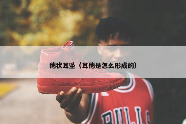 穗状耳坠（耳穗是怎么形成的）