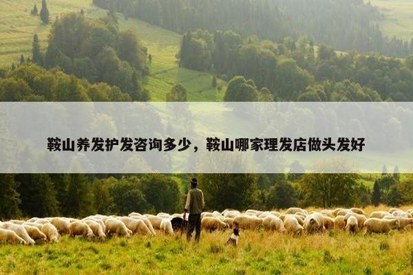 鞍山养发护发咨询多少，鞍山哪家理发店做头发好