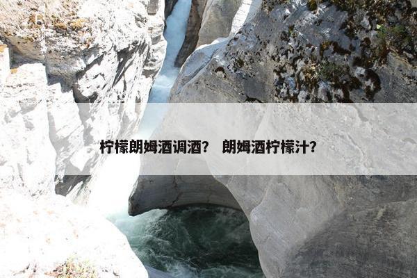 柠檬朗姆酒调酒？ 朗姆酒柠檬汁？
