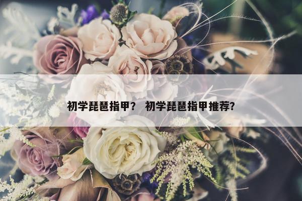 初学琵琶指甲？ 初学琵琶指甲推荐？