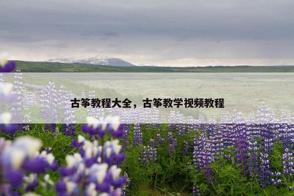 古筝教程大全，古筝教学视频教程