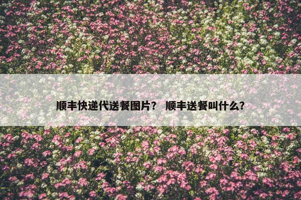 顺丰快递代送餐图片？ 顺丰送餐叫什么？
