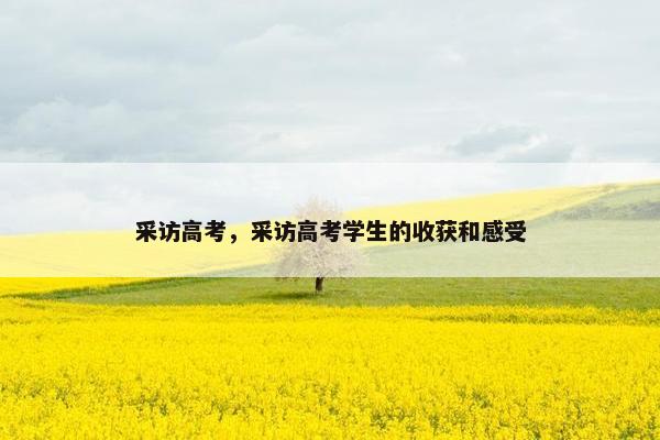 采访高考，采访高考学生的收获和感受