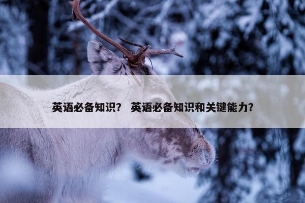 英语必备知识？ 英语必备知识和关键能力？