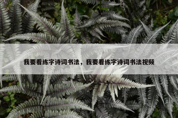 我要看练字诗词书法，我要看练字诗词书法视频
