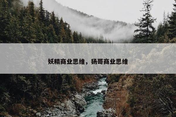 妖精商业思维，扬哥商业思维