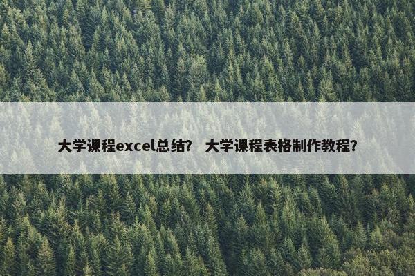 大学课程excel总结？ 大学课程表格制作教程？