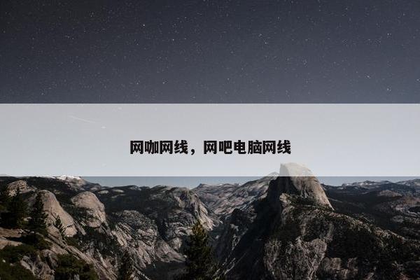 网咖网线，网吧电脑网线
