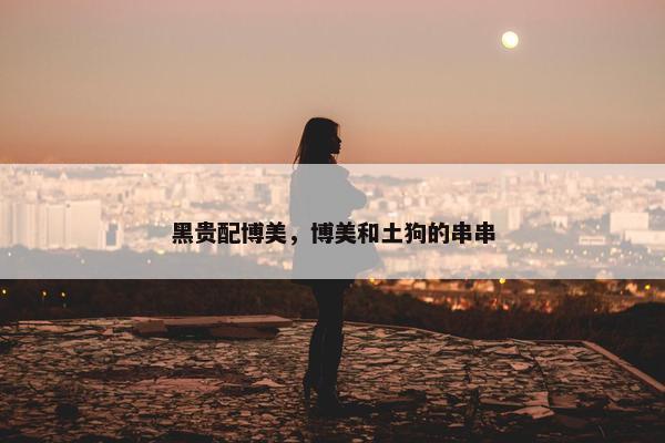 黑贵配博美，博美和土狗的串串