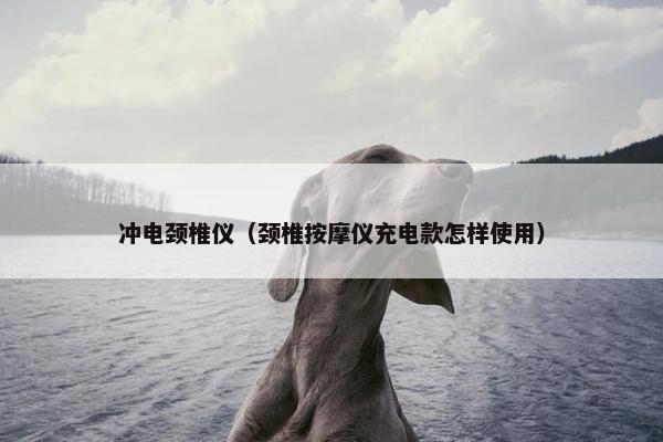冲电颈椎仪（颈椎按摩仪充电款怎样使用）