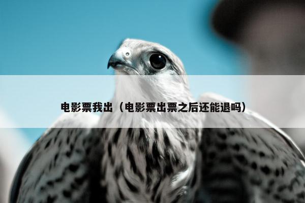 电影票我出（电影票出票之后还能退吗）
