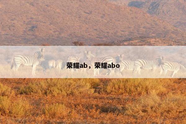 荣耀ab，荣耀abo