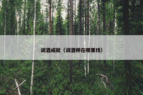 调酒成就（调酒师在哪里找）