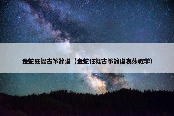 金蛇狂舞古筝简谱（金蛇狂舞古筝简谱袁莎教学）