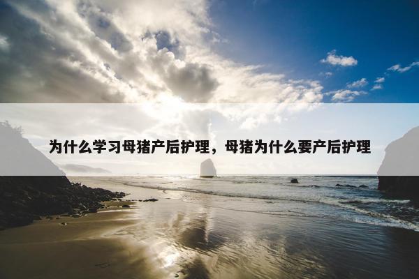 为什么学习母猪产后护理，母猪为什么要产后护理