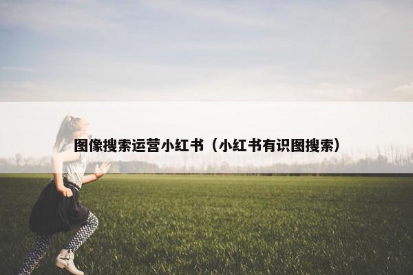 图像搜索运营小红书（小红书有识图搜索）