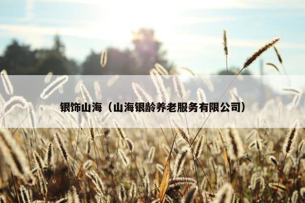 银饰山海（山海银龄养老服务有限公司）