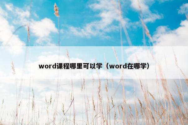 word课程哪里可以学（word在哪学）