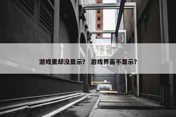 游戏里却没显示？ 游戏界面不显示？