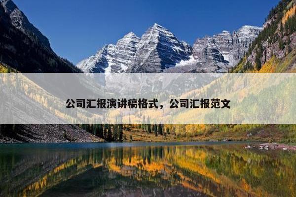 公司汇报演讲稿格式，公司汇报范文