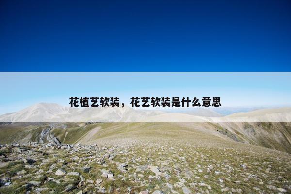 花植艺软装，花艺软装是什么意思