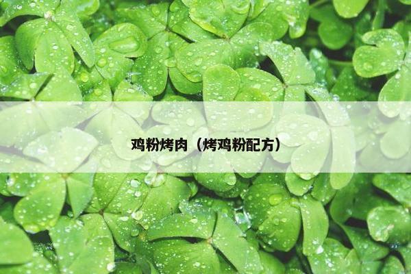 鸡粉烤肉（烤鸡粉配方）