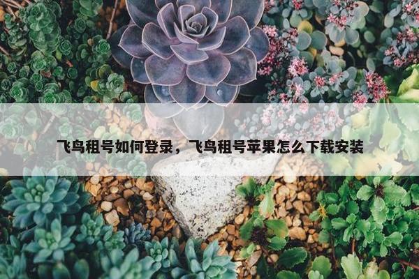 飞鸟租号如何登录，飞鸟租号苹果怎么下载安装