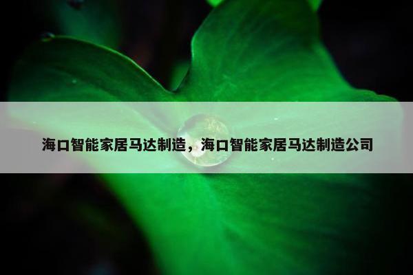 海口智能家居马达制造，海口智能家居马达制造公司