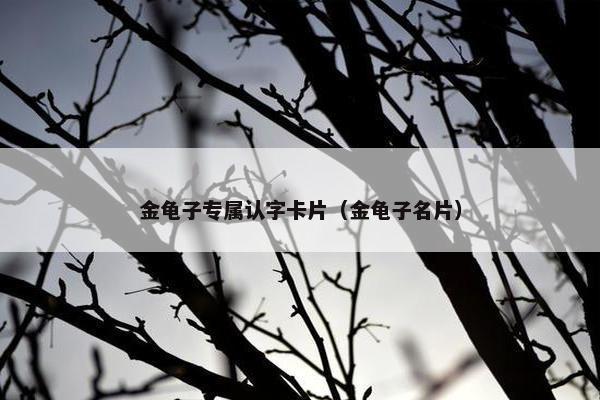 金龟子专属认字卡片（金龟子名片）