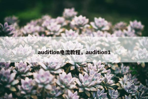 audition电流教程，audition1