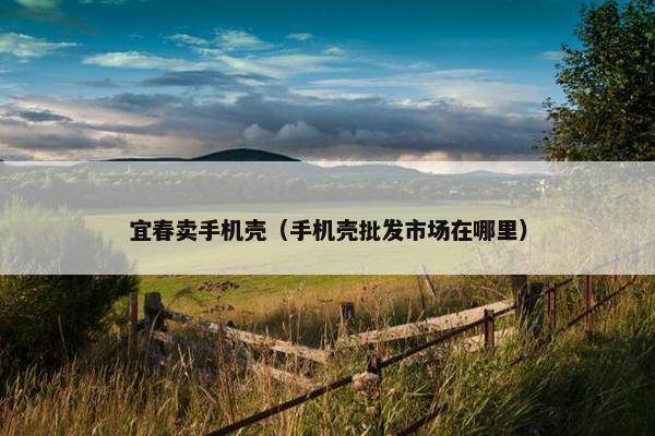 宜春卖手机壳（手机壳批发市场在哪里）