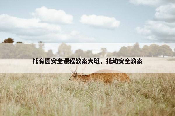 托育园安全课程教案大班，托幼安全教案