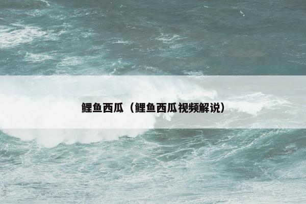 鲤鱼西瓜（鲤鱼西瓜视频解说）