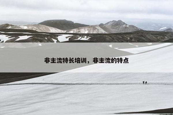 非主流特长培训，非主流的特点