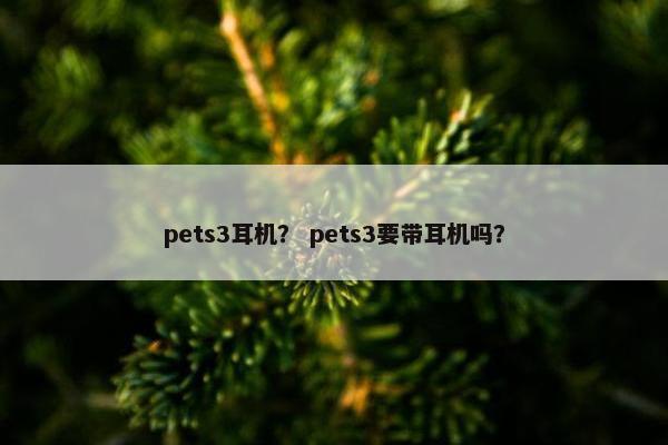 pets3耳机？ pets3要带耳机吗？