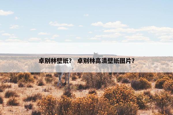 卓别林壁纸？ 卓别林高清壁纸图片？