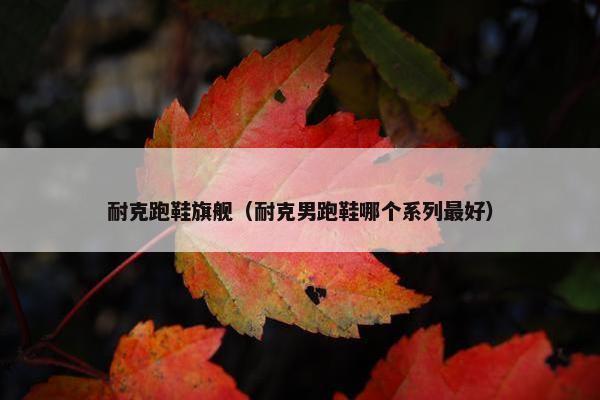 耐克跑鞋旗舰（耐克男跑鞋哪个系列最好）