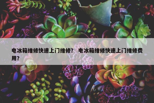 电冰箱维修快速上门维修？ 电冰箱维修快速上门维修费用？