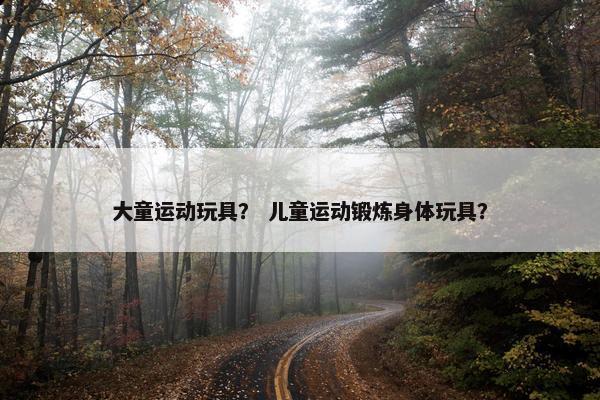 大童运动玩具？ 儿童运动锻炼身体玩具？