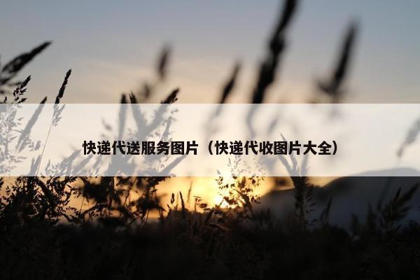 快递代送服务图片（快递代收图片大全）
