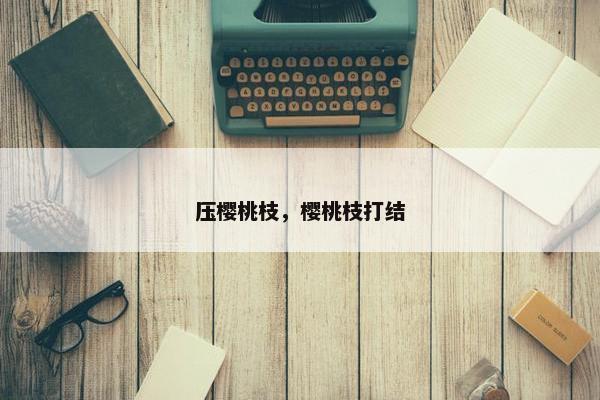 压樱桃枝，樱桃枝打结