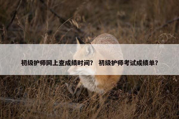 初级护师网上查成绩时间？ 初级护师考试成绩单？