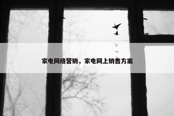 家电网络营销，家电网上销售方案