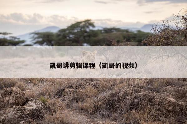 凯哥讲剪辑课程（凯哥的视频）