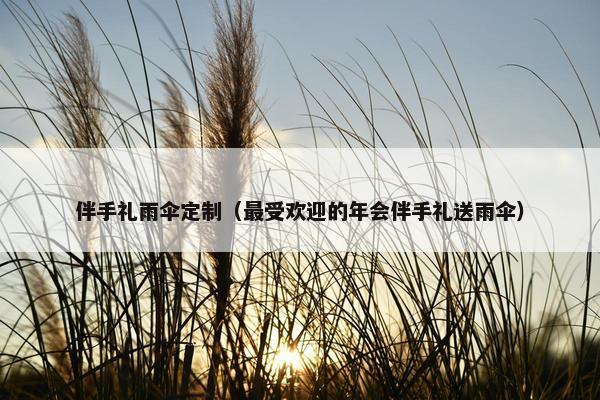 伴手礼雨伞定制（最受欢迎的年会伴手礼送雨伞）