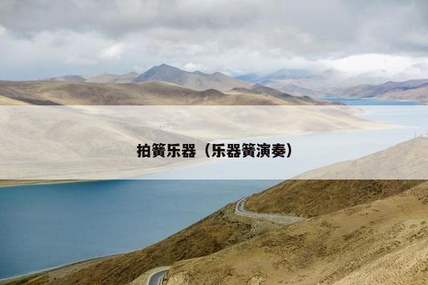 拍簧乐器（乐器簧演奏）